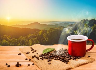 طبع قهوه چیست؟