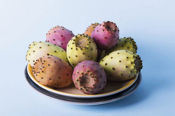 ارزش غذایی دمنوش میوه کاکتوس