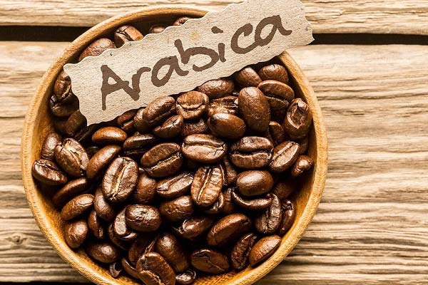 دانه‌ قهوه عربیکا چیست؟
