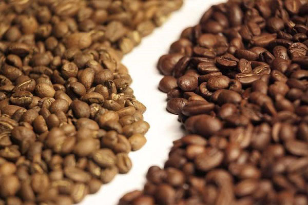 درصد کافئین قهوه عربیکا و روبوستا