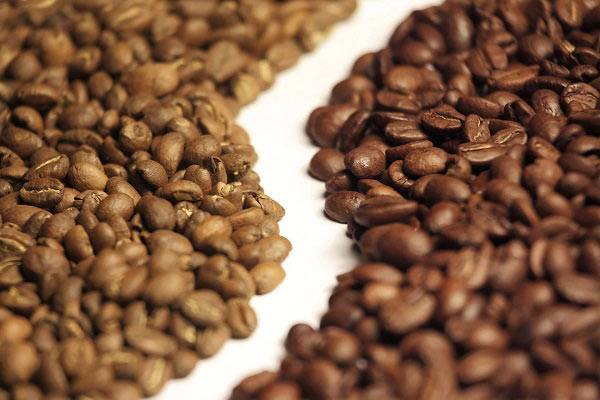 انواع ترکیب قهوه و بهترین ترکیب قهوه عربیکا و روبوستا
