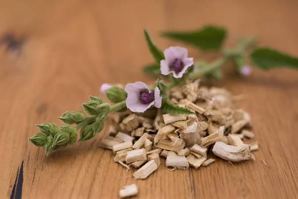 روش‌های مختلف تهیه و مصرف گل ختمی