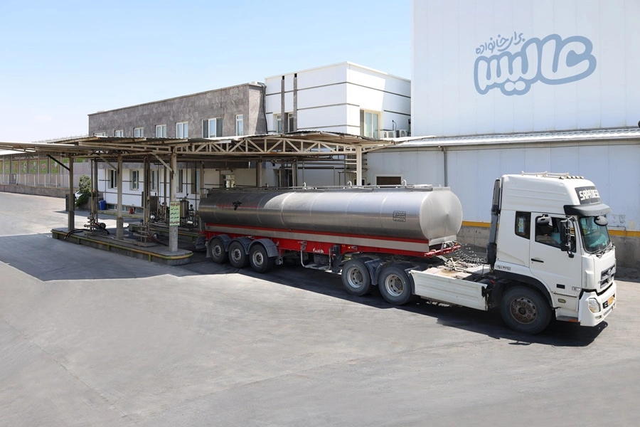 شیر در عالیس