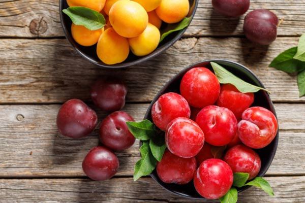 آشنایی با آلو و نقش آن در فرهنگ غذایی ایران