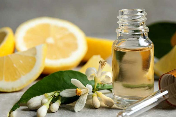 مواد لازم (برای ۴ نفر)