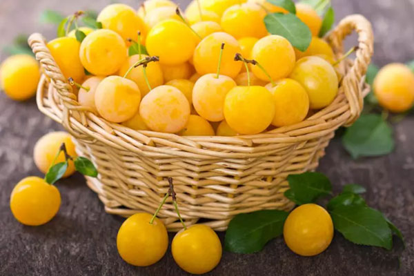 خواص و مزایای شربت آلو زرد