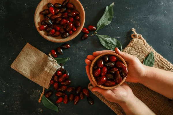 خواص و ویژگی‌های زغال‌ اخته